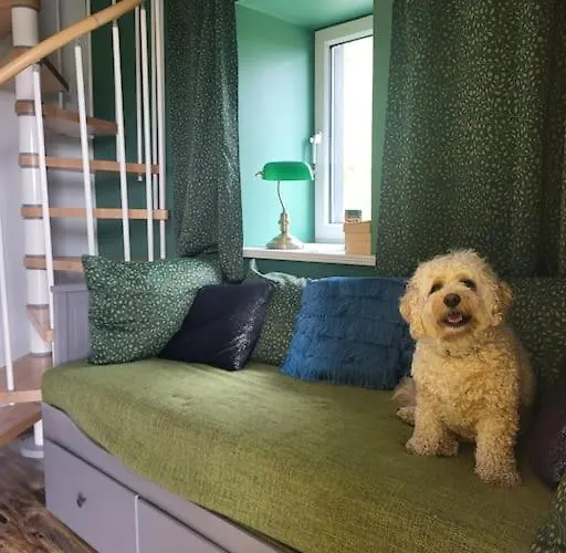 Unique Restored Barn With Stove * 基利贝格斯